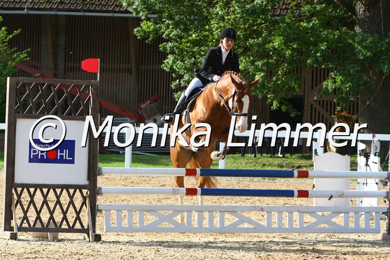 006M6280_Dirty Deluxe_Springpferde A.JPG